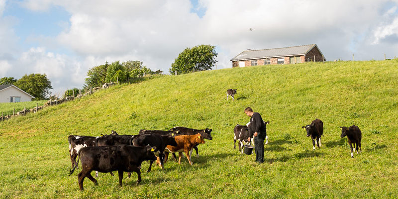 Natur Videregående Skole