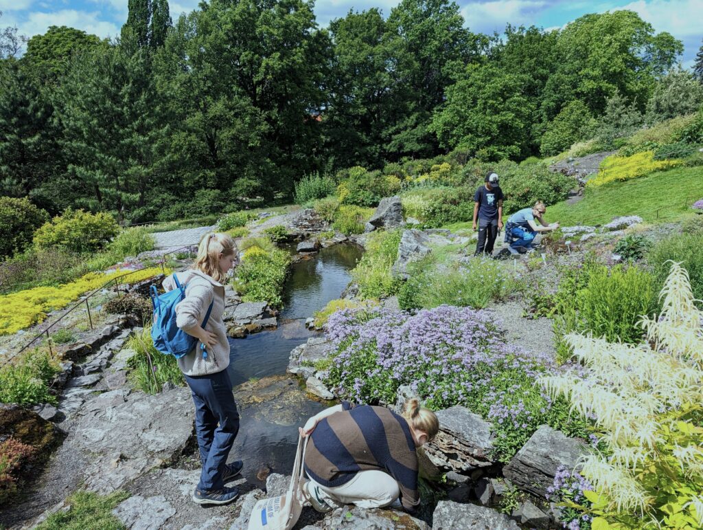 botaniskhage2