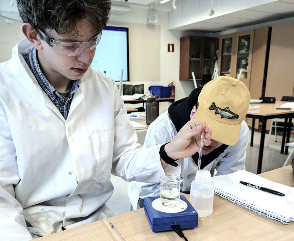 kjemi titrering3